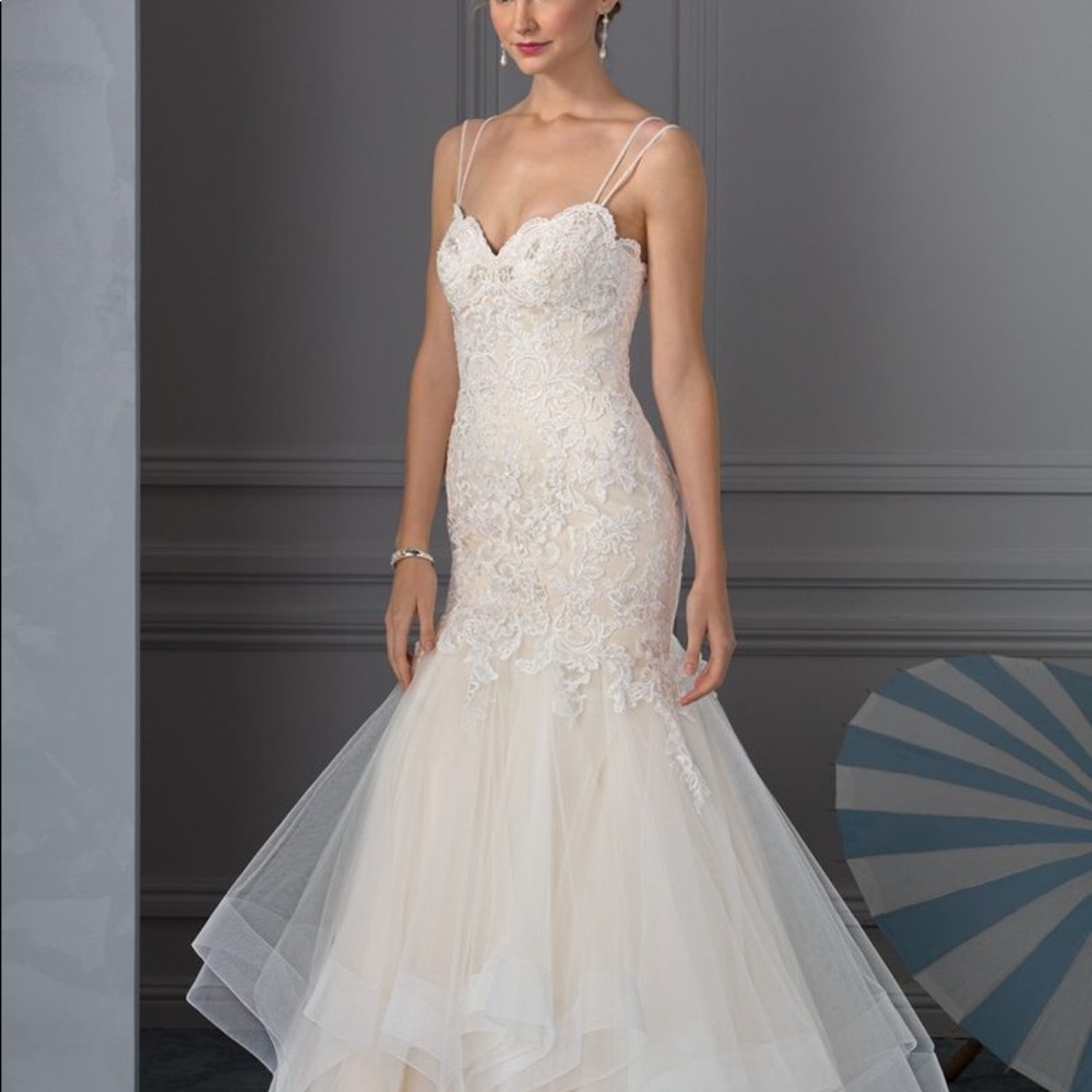 Gorgeous Champagne Trumpet/Mermaid gown- BRAND NEW